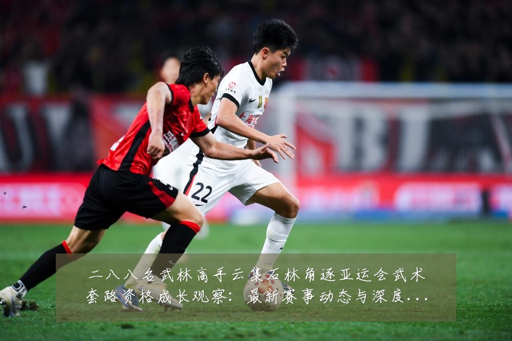 二八八名武林高手云集石林角逐亚运会武术套路资格成长观察:最新赛事动态与深度分析